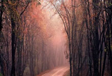 雷火电竞中国-西雅图海湾者队长激励全队，挑战强敌士气高昂