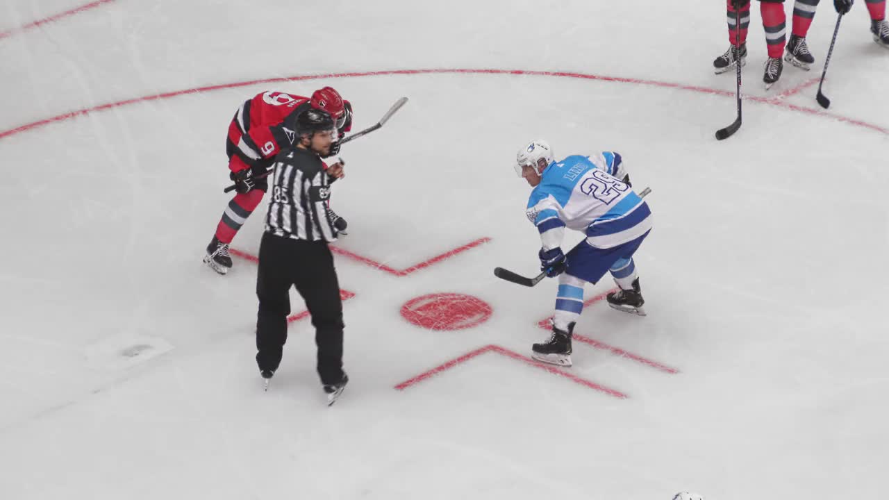 爱尔兰选手在曲棍球比赛中称霸