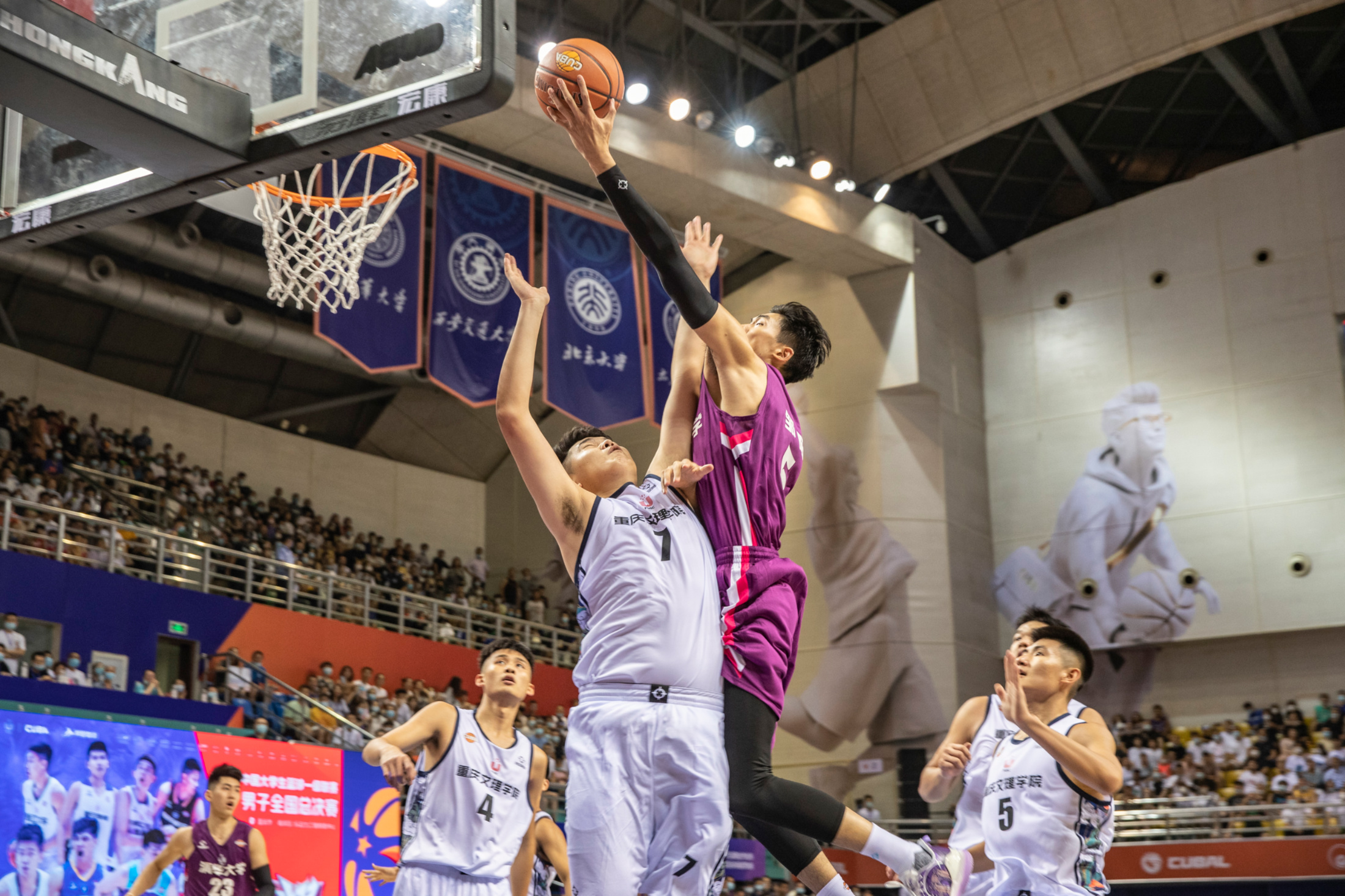 76人横扫福建队，锡安统治全场