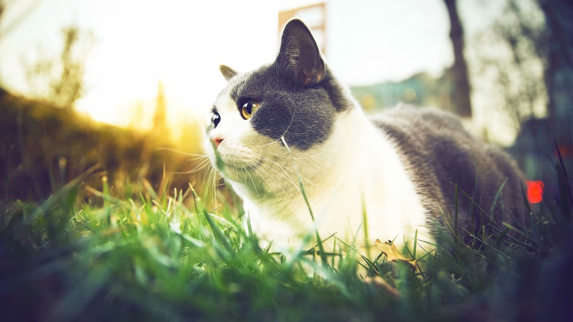 德罗赞神隐三节后末节封神，却送热火最后一攻战术板上最讽刺的注脚