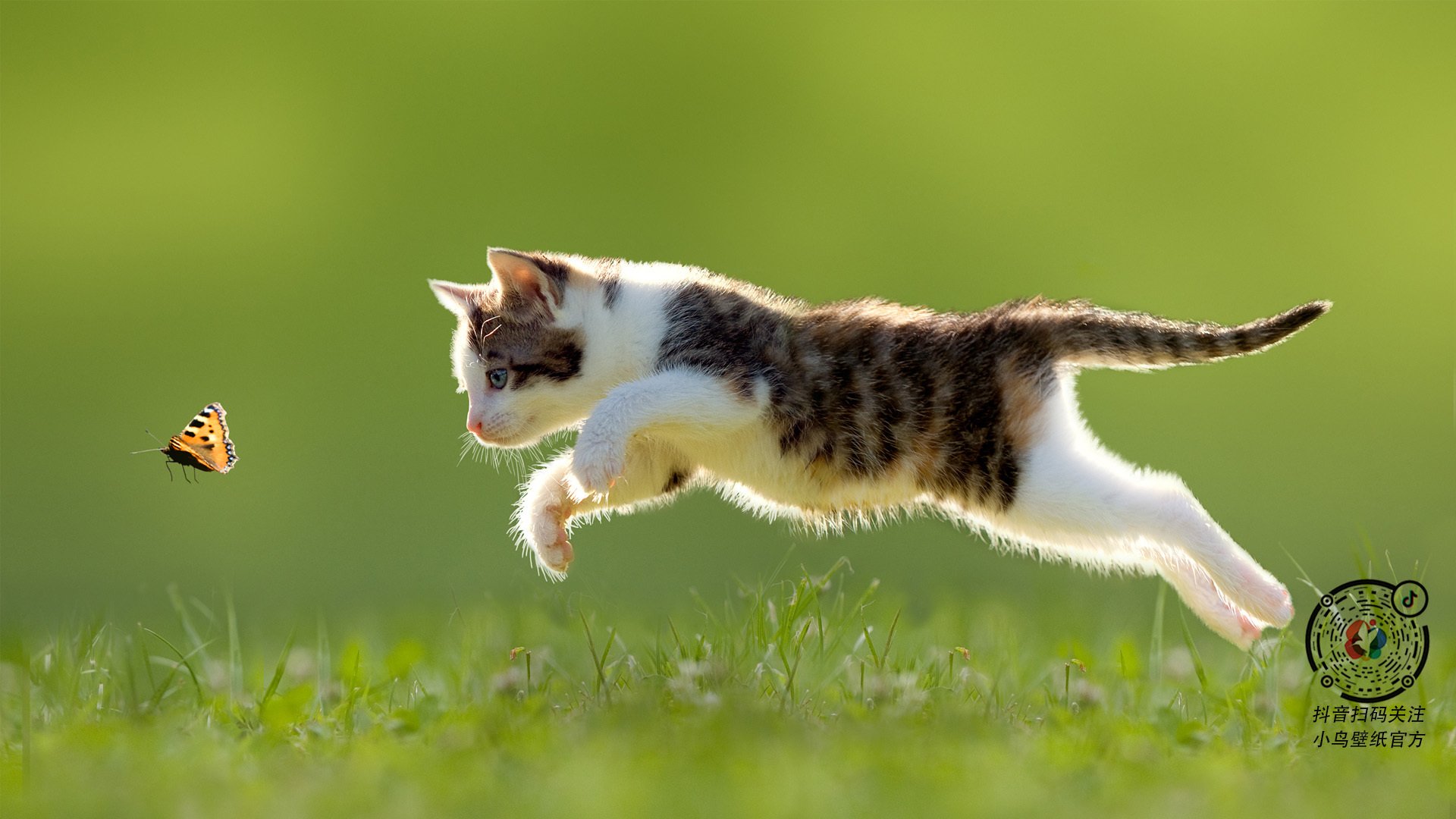 体系的山洪与天才的闪电，足球世界里的两种大场面