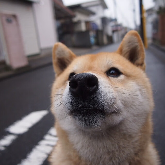 班凯罗的完美教学，快船如何用一场团队艺术展撕碎老鹰？