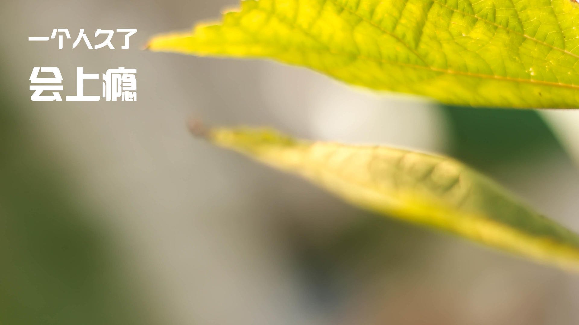 雷火电竞入驻-从黄喜灿爆发到国米收割，足球资本下的隐形金矿