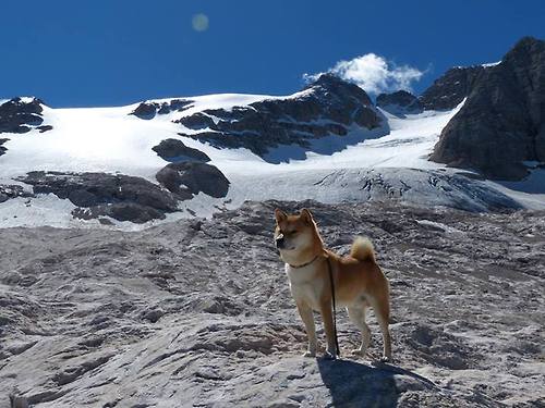 彩虹桥上的足球魔术师，三笘薰一球定音，荷兰力克葡萄牙