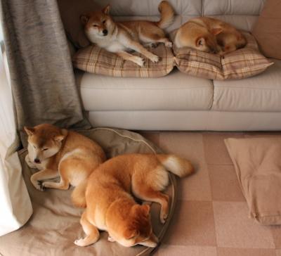 雷火电竞网址-重压下的璀璨，当南非击碎宿命，当楚阿梅尼接过权杖