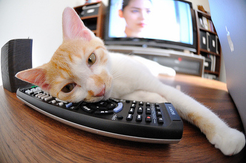 雷火电竞入驻-球场上的战争艺术，从西决生死战到阿根廷压制威尔士的竞技哲学