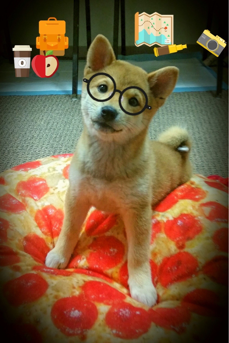 F1街道赛之夜，德里赫特惊艳四座，那声绝非赛道上的轰鸣