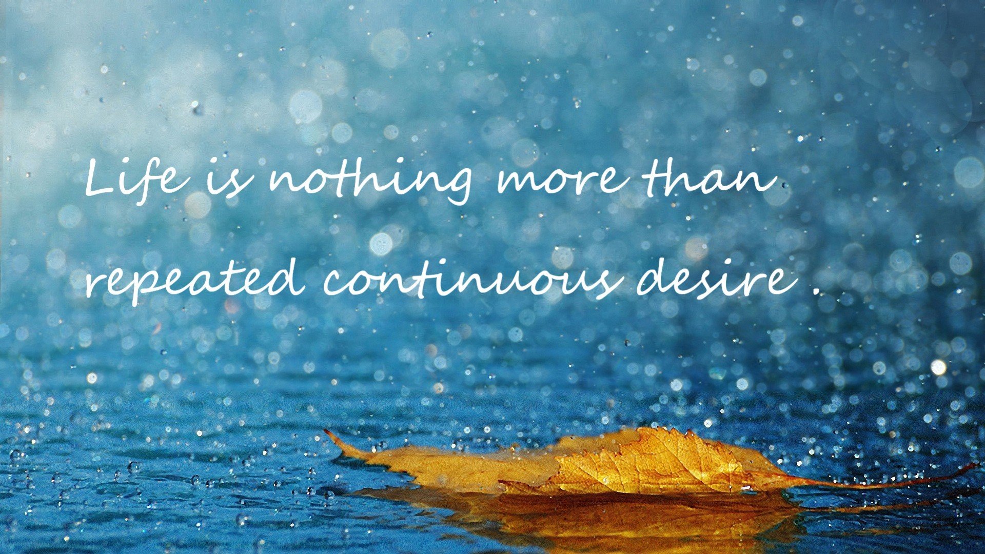 不死掘金杀死比赛，杰伦·格林接管未来，从CBA到NBA的胜负启示