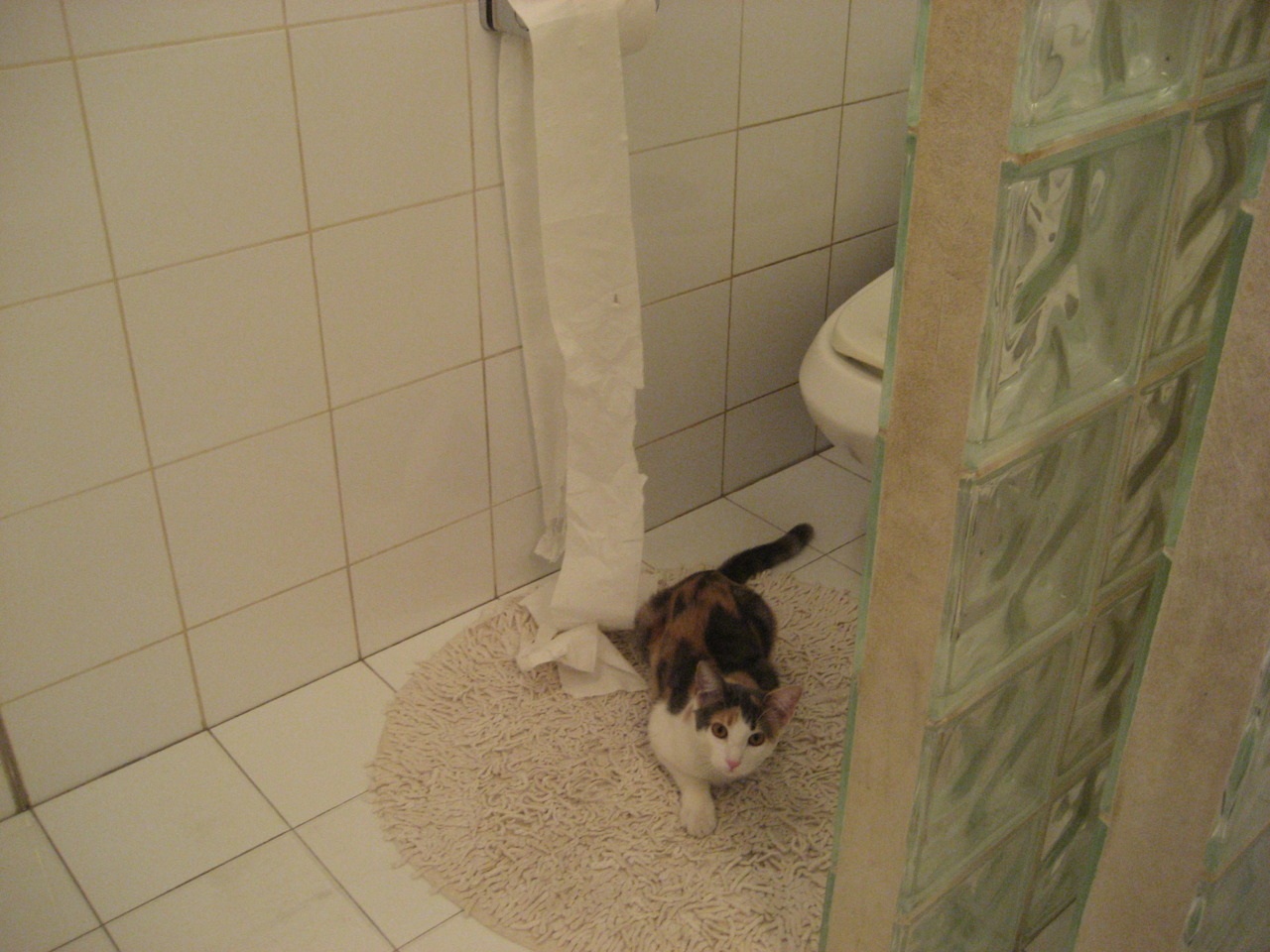 沉默中爆发的深圳詹姆斯，当王朝的黄昏迎来新王的晨光